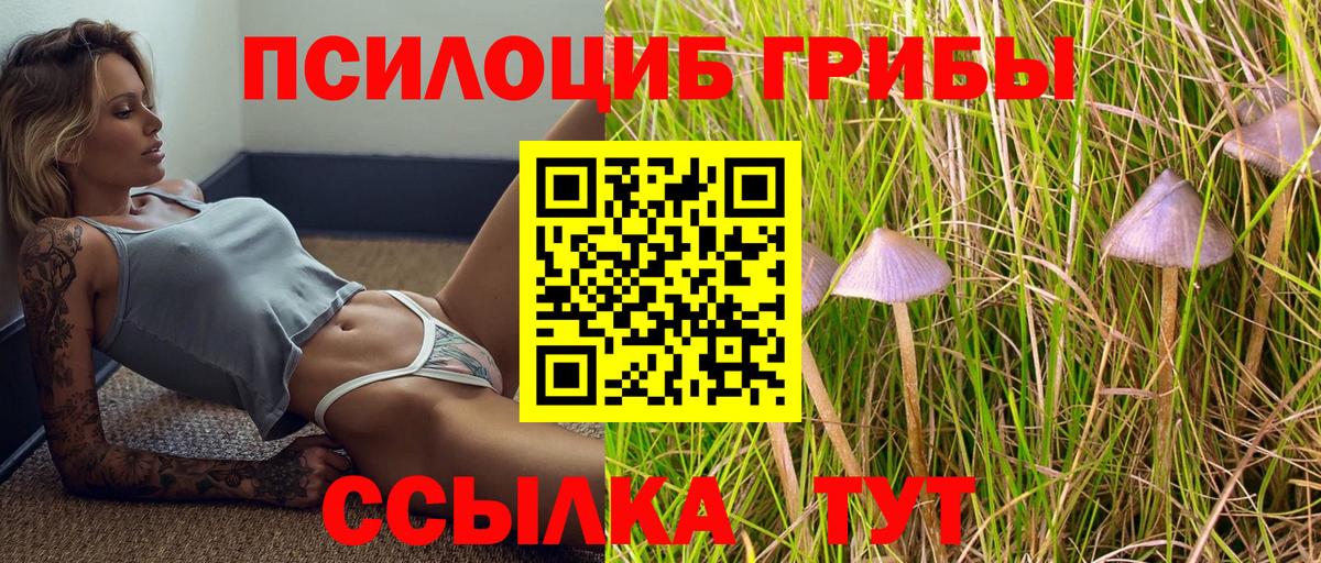 Галлюциногенные грибы ЛСД  купить наркотики сайты  Дубна  Вход с VPN 
