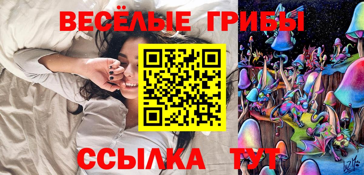 Галлюциногенные грибы GOLDEN TEACHER Дубна